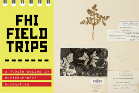 Event graphic: FHI Field Trips logo with fern specimen &amp;amp; photos from Duke Herbarium